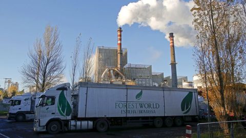 Fábrica de Ence en Lourizán