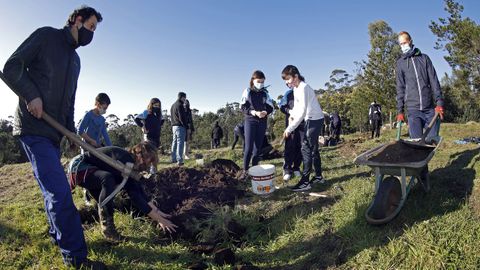 PLANTACIÓN DE CASTAÑOS POR PARTE DE ALUMNOS DE LOS COLEGIOS O GRUPO Y BAYÓN EN EL PARQUE PERIURBANO DE SAN ROQUE.