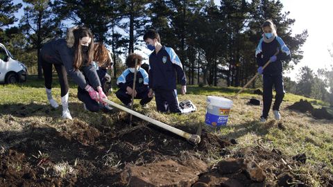 PLANTACIÓN DE CASTAÑOS POR PARTE DE ALUMNOS DE LOS COLEGIOS O GRUPO Y BAYÓN EN EL PARQUE PERIURBANO DE SAN ROQUE.