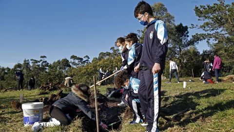 PLANTACIÓN DE CASTAÑOS POR PARTE DE ALUMNOS DE LOS COLEGIOS O GRUPO Y BAYÓN EN EL PARQUE PERIURBANO DE SAN ROQUE.