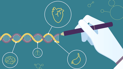 El ADN marca nuestra genética y los rasgos que heredamos del padre y de la madre