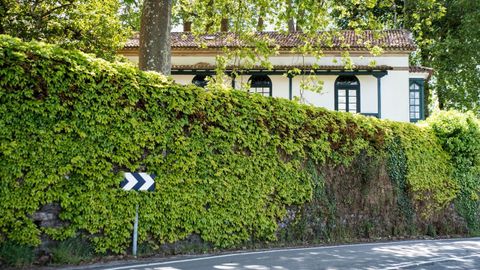 La vegetación cubre en primavera el exterior del muro perimetral