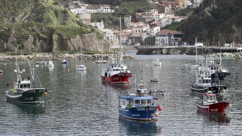 Barcos permanecen atracados en el puerto de Cudillero, Asturias