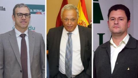 Mariano Veganzones, Gonzalo Santonja y Gerardo Dueas sern los nuevos consejeros de Industria y Empleo, Cultura y Agricultura, respectivamente.
