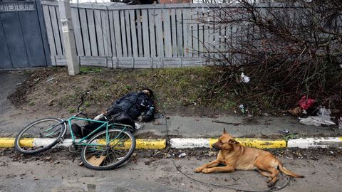 Un perro descansa junto al cadáver de un civil, supuestamente su dueño, en las calles de Bucha