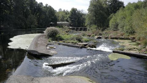 O Páramo es uno de los municipios de la cola de Belesar. Se puede pasear a la orilla del río Miño o también, por el interior, hacer su única ruta oficial, que parte desde Vilarmosteiro