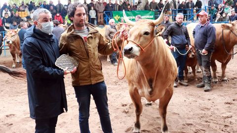 El consejero de Medio Rural y Cohesión Territorial, Alejandro Calvo, entrega a Antonio Fernández el premio a la Ternera Novilla tipo culón gran campeona

 