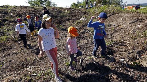 actividade voz natura: plantacion árboles con alumnos do CRA de rianxo, EN EL LUGAR DE A ERMIDA EN BUIA, ARAÑO