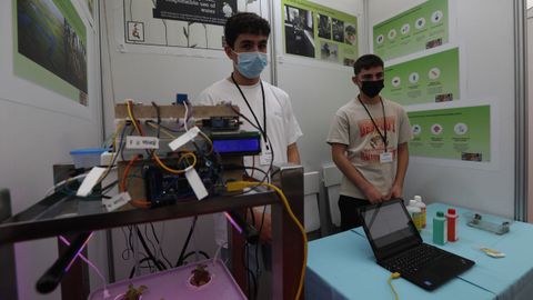 Juan Gallego y Darío Giráldez, del colegio Eduardo Pondal de Cangas do Morrazo, participan con un cultivo hidropónico automatizado