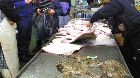 Foto de archivo de subasta de rayas en una lonja gallega