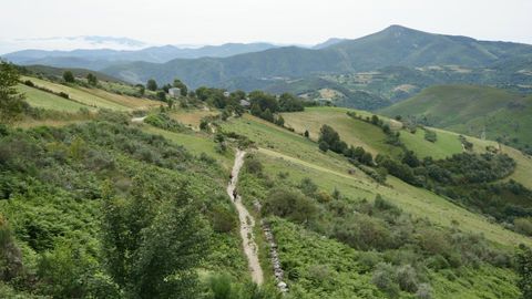 Entrada del Camino Francés en Galicia.
