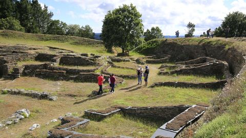 Uno de los campos de voluntariado se hará en el Castro de Viladonga