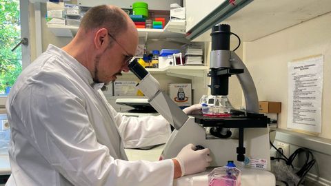 Un microbilogo trabaja en un laboratorio militar alemn despus de que el pas detectase el primer caso de la viruela del mono