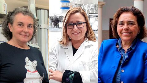 Las investigadoras de la Universidad de Oviedo Eva García Vázquez, Rosa María Sainz y Andonina Tardón