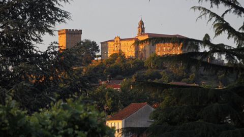 La localidad de Monforte se asienta a los pies del castillo de San Vicente, una construccin sobre la que destaca la torre del homenaje de unos 30 metros de altura. Este smbolo del podero del monumento alberga un museo.
