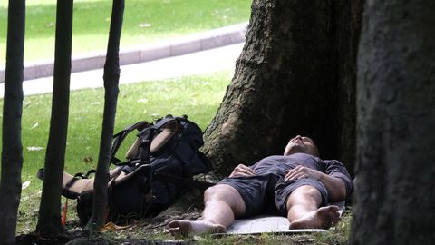 Un joven descansa a la sombra del calor entre árboles del Campo de San Francisco este lunes en Oviedo