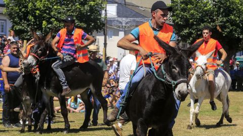 Ms de veinte burros, con sus correspondientes jinetes, corrieron en la edicin 2022 de la carrera de burros de Escairn