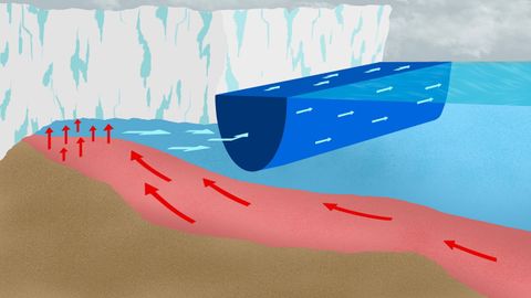 El agua dulce (azul oscuro) corre en una corriente superficial, abrazando la costa antártica. El agua cálida (rojo) queda atrapada debajo de las plataformas de hielo, derritiéndolas desde abajo.