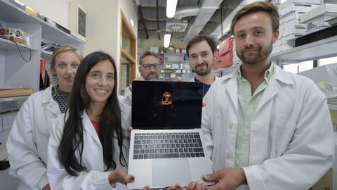  La investigación realizada por un grupo de científicos de la Universidad de Oviedo sobre la medusa 'inmortal', una especie capaz de rejuvenecer y hacer retroceder su estado adulto al de pólipo