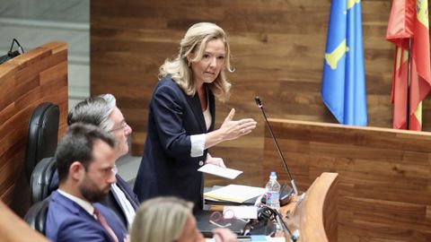 La presidenta del PP de Asturias, Teresa Mallada,