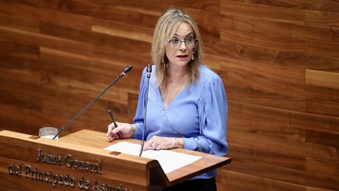 La portavoz de IU, Ángela Vallina
