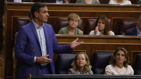El presidente Pedro Sánchez en la sesión de control al Gobierno.