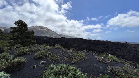 El volcán, desde Tacande de Arriba, con una amplia lengua de lava solidificada que desciende hacia el mar