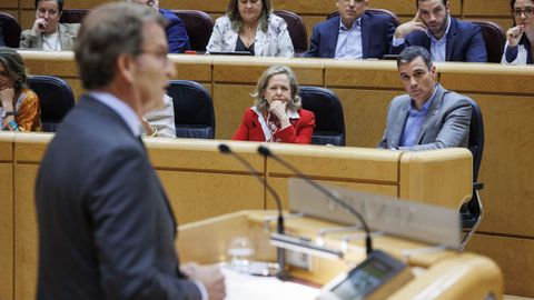 El presidente del Gobierno, Pedro Sánchez, en su escaño, escuchando la intervención del líder del PP, Alberto Núñez Feijoo, este martes, en el Senado