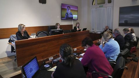 La fiscal superior de Asturias, Mara Esther Fernndez, present este viernes en Oviedo en la Junta General, la memoria correspondiente al pasado ao