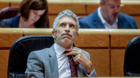 El ministro del Interior, Fernando Grande-Marlaska, el pasado día 15, en el Senado