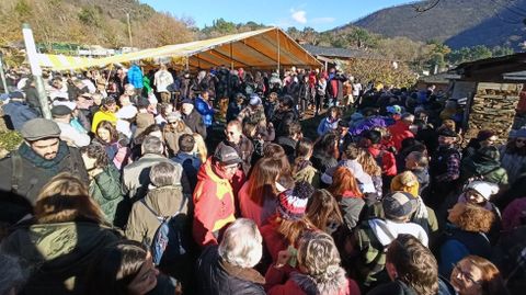 La de este año2022 fue la edición más multitudinaria de la Festa da Pisa da Castaña de Froxán