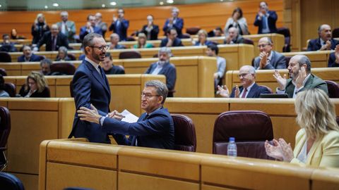 El senador popular Javier Maroto saluda al lder del PP, Alberto Nez Feijoo, entes de comenzar el pleno de hoy en el Senado.