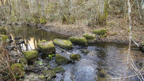 Un pasal de piedra en cauce del río Carabelos, en torno al cual discurrirá la nueva ruta de senderismo