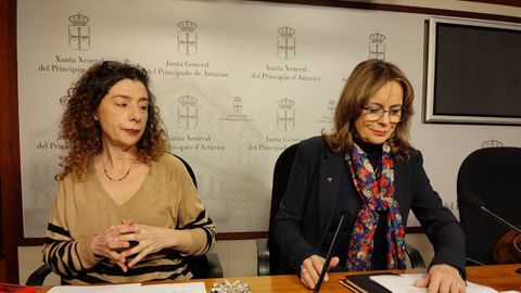 Rueda de prensa de la portavoz de IU en la Junta General, ngela Vallina, y la ex concejala de IU en el Ayuntamiento de Oviedo, Cristina Pontn.