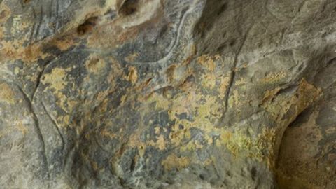 Caballo grabado en la cueva de La Lluera