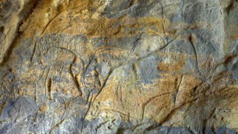 Uros grabados en la cueva de La Lluera