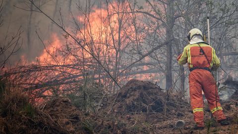 Trabajos de extincin en los incendios de Tineo y Valds