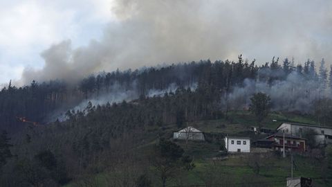 Incendio forestal en Navelgas
