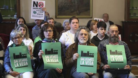 Asistentes al pleno celebrado el 2 de mayo en el Ayuntamiento de Oviedo sostienen carteles a favor del plan de La Vega