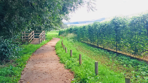 Paseo Muíño do Pereiro, en Lourenzá