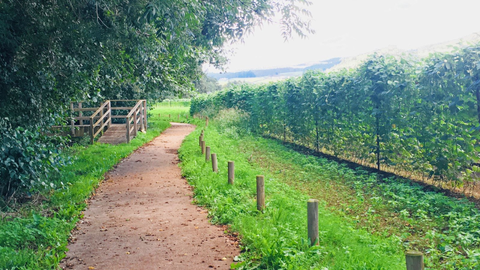 Paseo Muo do Pereiro, en Lourenz