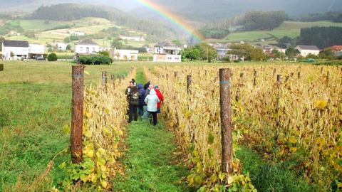 Ruta da Faba, en Lourenzá
