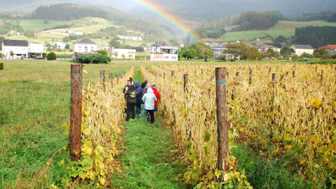 Ruta da Faba,en Lourenz