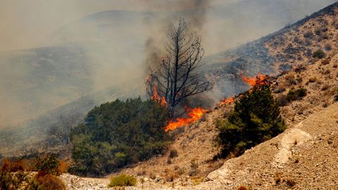 Un incendio quema rboles y vegetacin baja en el pueblo de Vati, en la isla de Rodas (Grecia).