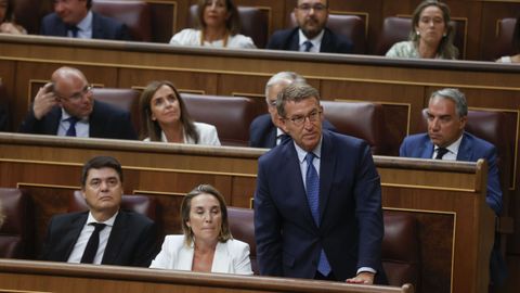 El lder del Partido Popular, Alberto Nez Feijoo, acata la Constitucin durante la sesin constitutiva del Congreso de las Cortes Generales.