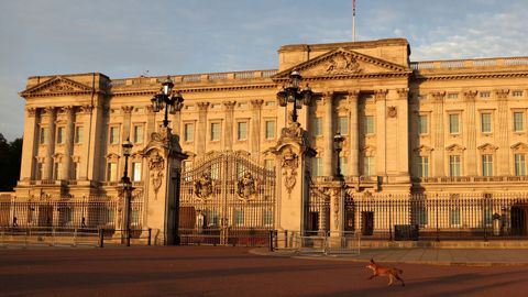 Vista del Palacio de Buckingham.