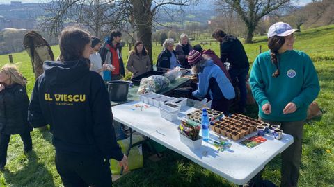 Taller de semilleros en la parcela del Viescu.