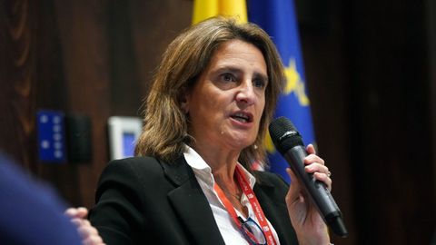 Teresa Ribera (PSOE), vicepresidenta tercera del Gobierno y ministra para la Transición Ecológica y el Reto Demográfico