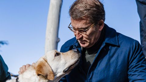 Alberto Núñez Feijoo acaricia un perro durante su visita a las instalaciones de la Fundación ONCE en Boadilla del Monte, en Madrid 