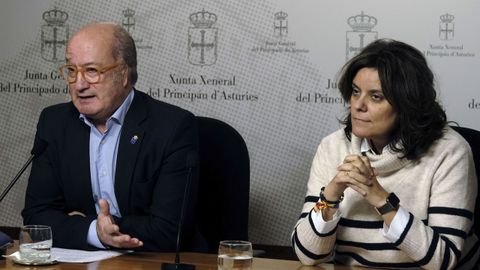 Los portavoces adjuntos del PP en la Junta General, Luis Venta (i) y Beatriz Polledo (d),